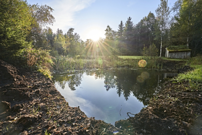 Moorstich_Bad_Kohlgrub_©_Naturpark_Ammergauer_Alpen_Fotograf_Gerd_Krautberger