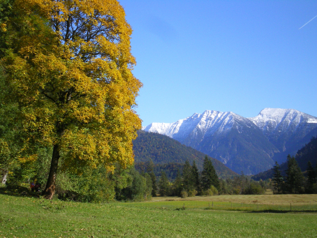 Weidmoos im Naturpark Ammergauer Alpen bei Kloster Ettal, fotografiert von Preishammer