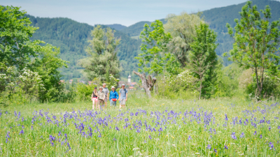 Moor_Unterammergau_©_Naturpark_Ammergauer_Alpen_Fotograf_Dietmar_Denger