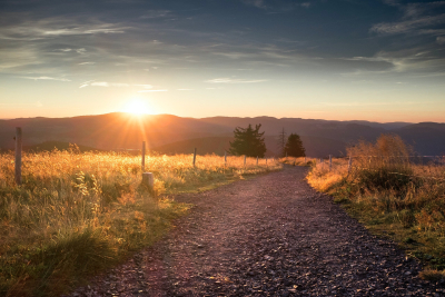 Feldweg von Wolfgang Kuhnle Unsplash