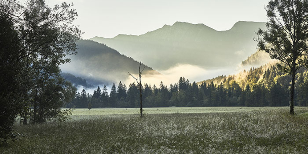 Blick ins Graswangtal nach Schloss Linderhof © Gerd Krautbauer