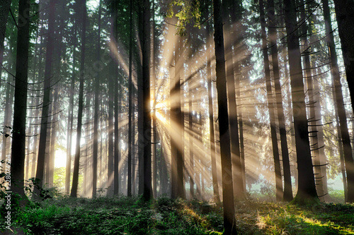 Sonnenaufgang_by_Adobe